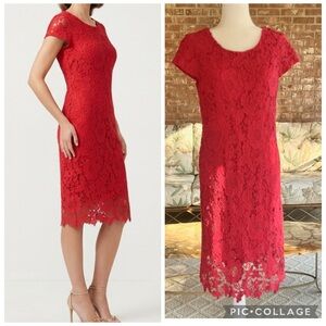 Luxology Dress Lace Crochet Cap Sleeve Sheath 10 Garden Brunch Party Bright